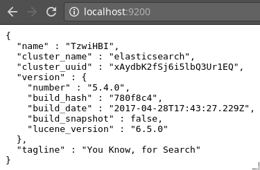 response of intital request to elasticsearch